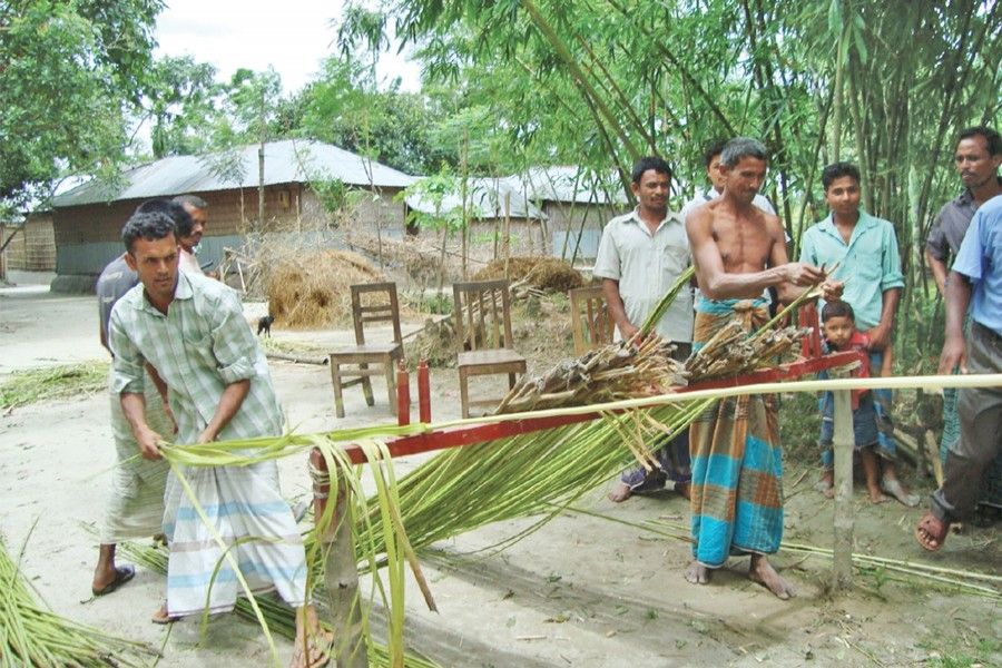 Jute Cultivation in South Dinajpur of WB: A Farmer's Interview 4