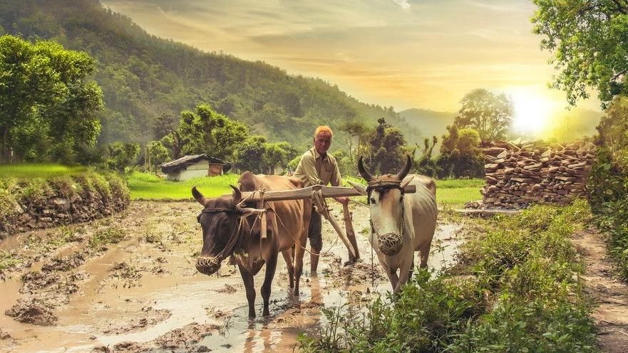 Nature - The Best Input For Crop Production 2