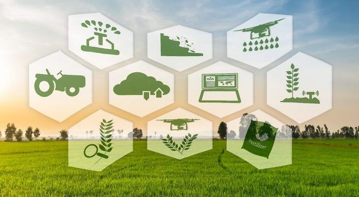 Sustainable Agriculture 2