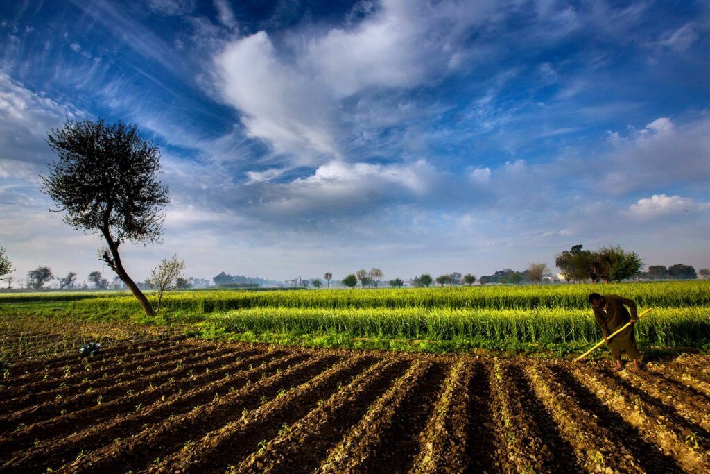 Nature - The Best Input For Crop Production 3