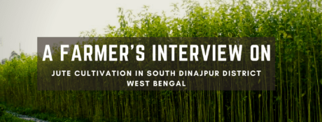 Jute Cultivation in South Dinajpur of WB: A Farmer's Interview 6