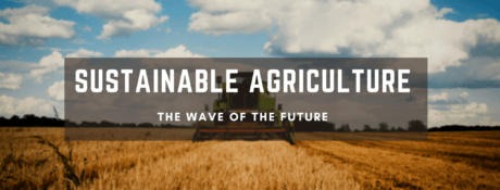 Sustainable Agriculture 5