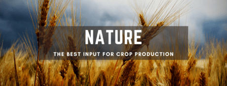 Nature - The Best Input For Crop Production 6