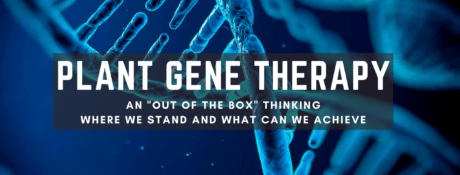 Plant Gene Therapy 1