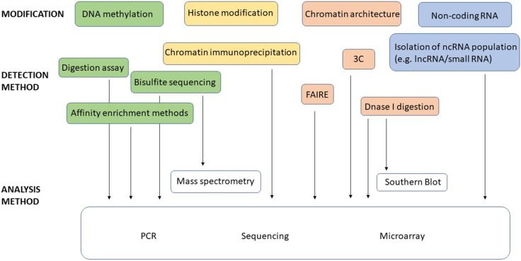 Epigenomics in Crop Breeding for Better Agriculture Tomorrow 4