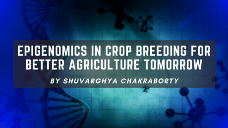 Epigenomics in Crop Breeding for Better Agriculture Tomorrow 2